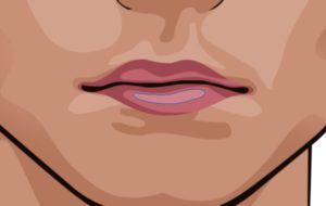 lips vector